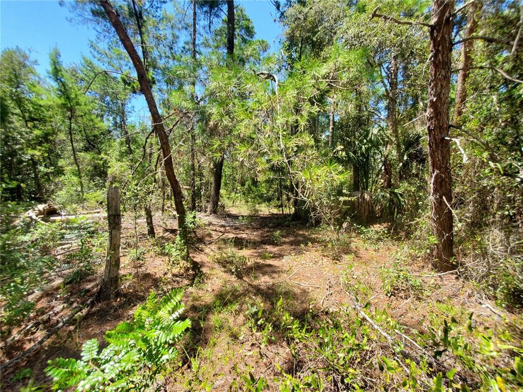 7 PETUNIAS COURT HOMOSASSA, FL 34446