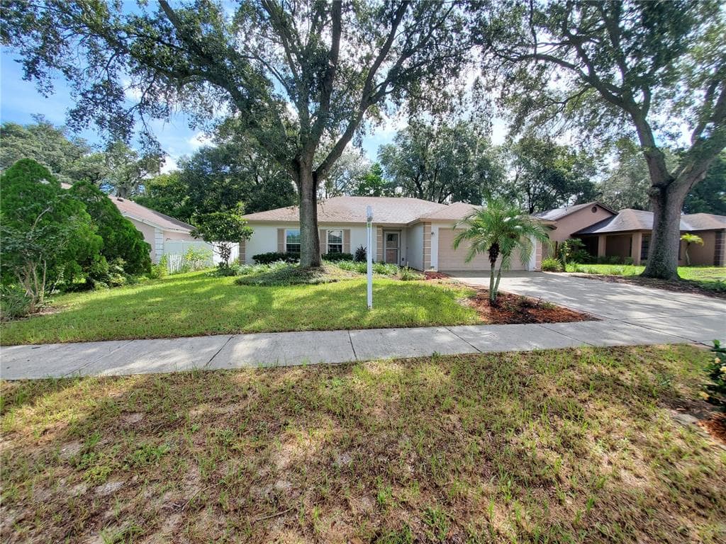 1115 WINDHORST RIDGE DRIVE BRANDON, FL 33510