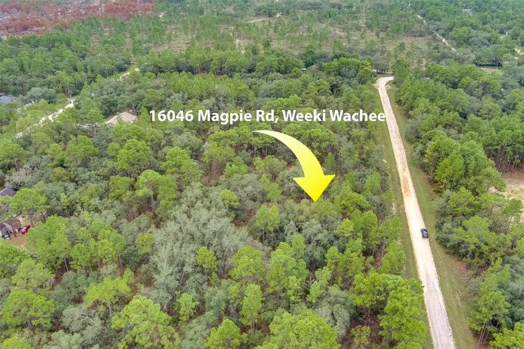 16046 MAGPIE ROAD WEEKI WACHEE, FL 34614