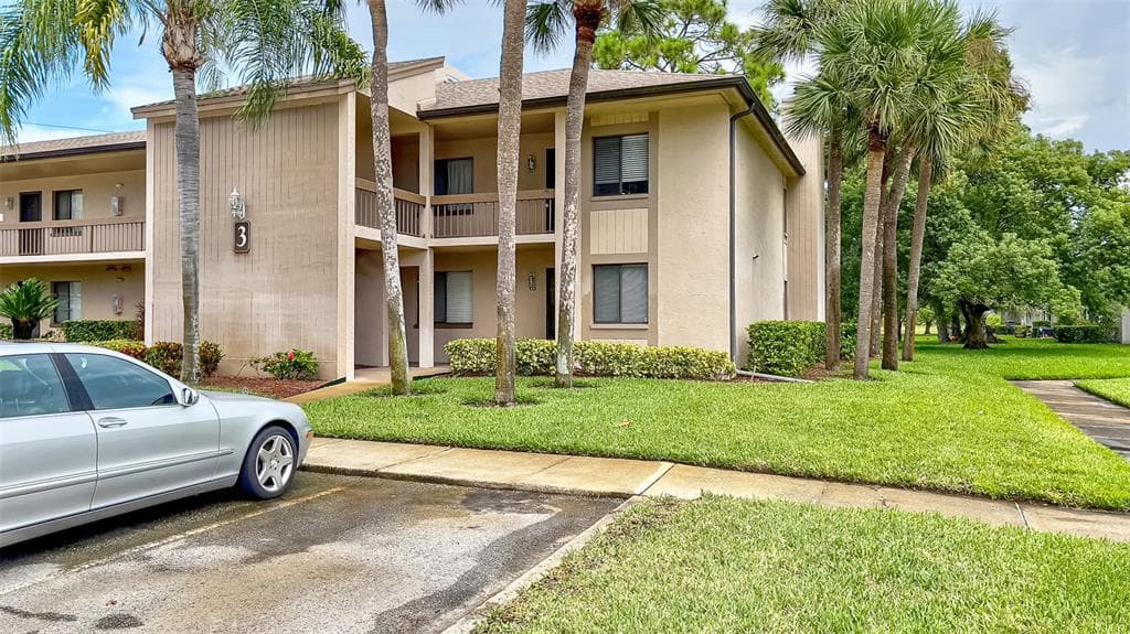 232 MARY DRIVE OLDSMAR, FL 34677