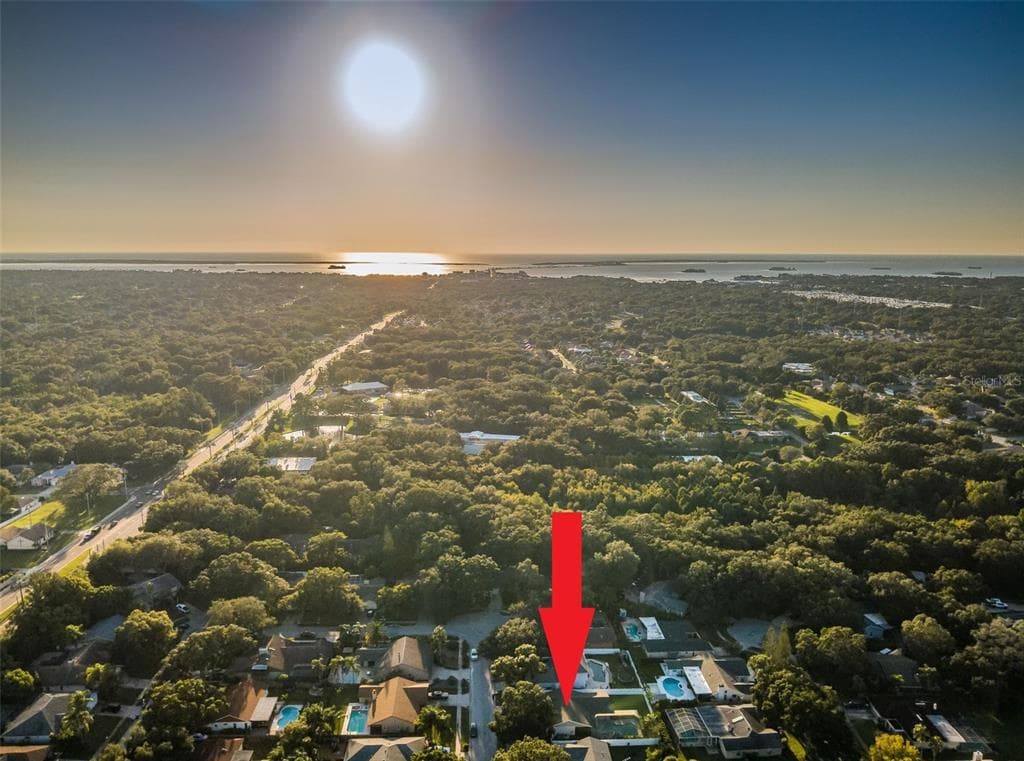 1935 SPANISH OAKS DRIVE N PALM HARBOR, FL 34683