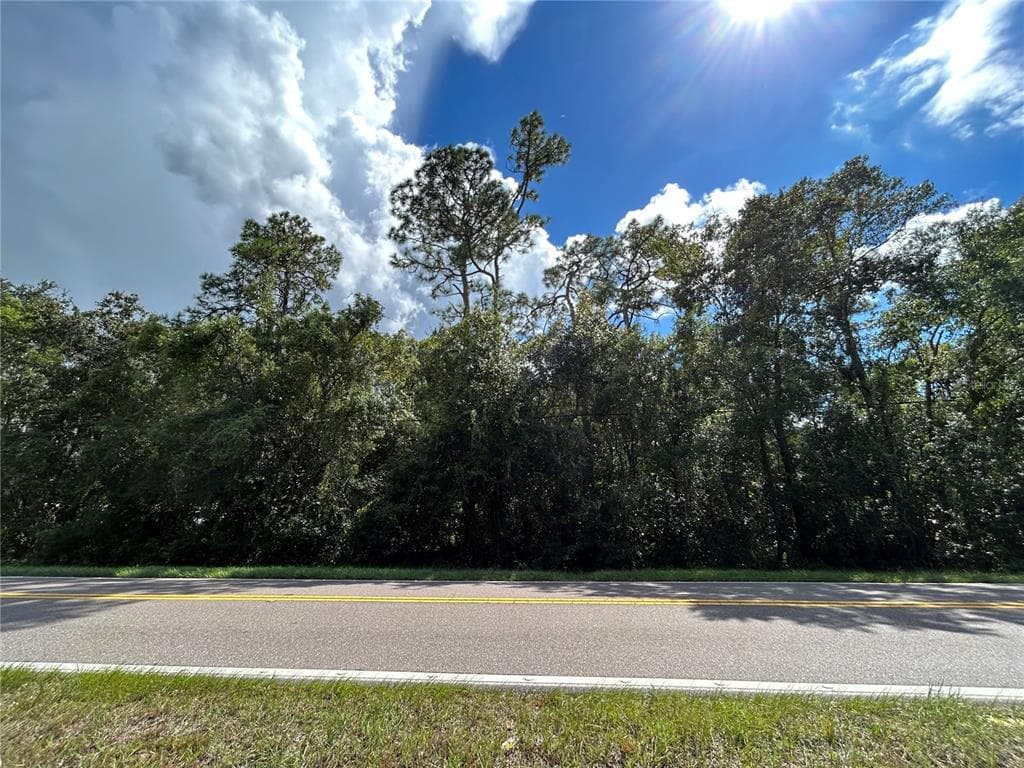 7412 VAN DYKE RD ODESSA, FL 33556
