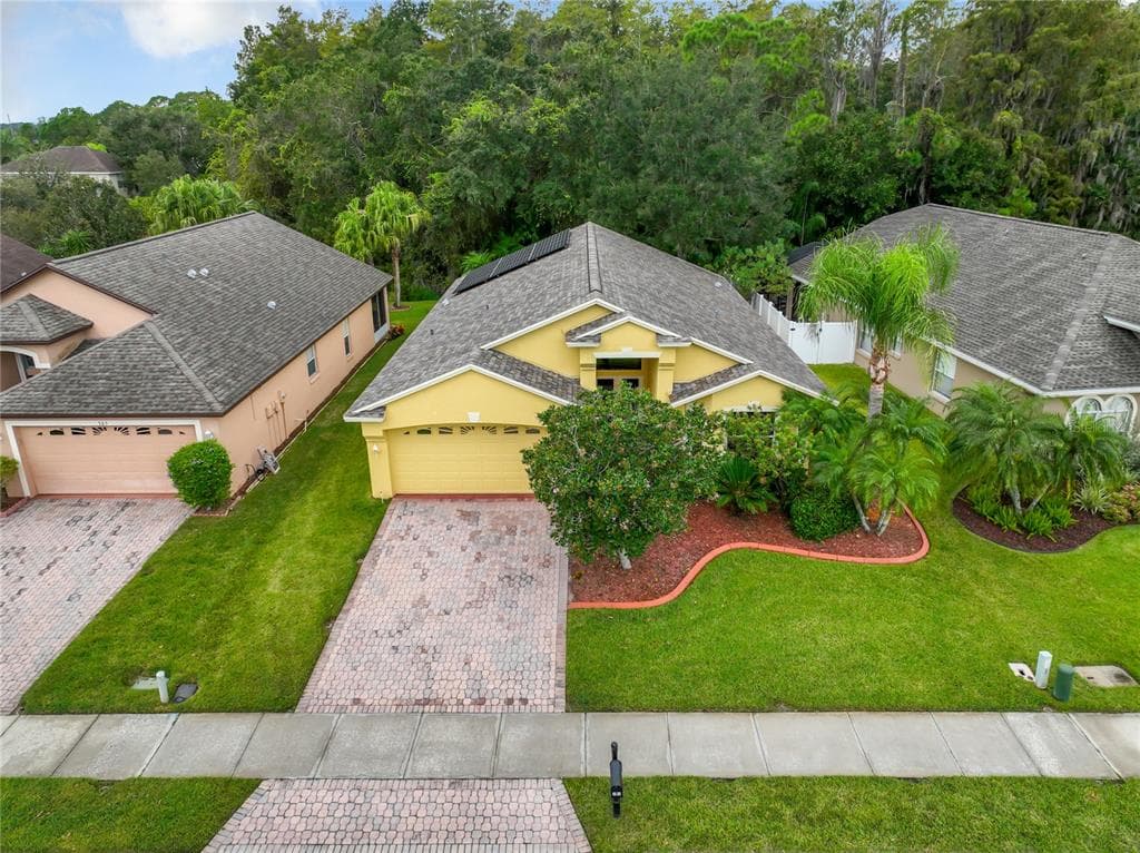 307 BAY ARBOR BOULEVARD OLDSMAR, FL 34677