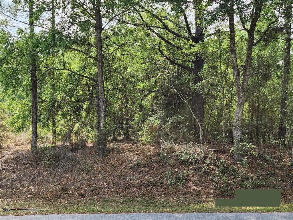 SW 199TH COURT DUNNELLON, FL 34431