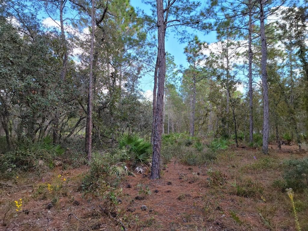 Lot 21 HARDEMAN JUNCTION WEEKI WACHEE, FL 34614