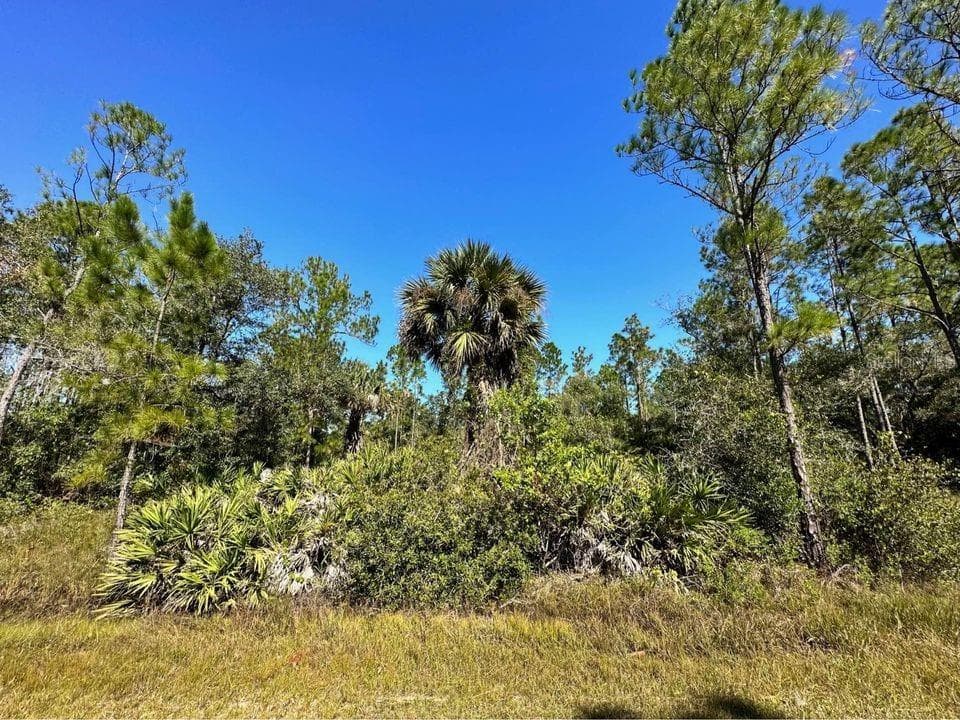 902 POINCIANA DRIVE INDIAN LAKE ESTATES, FL 33855