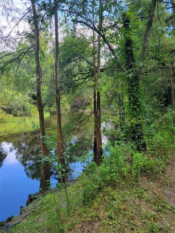3448 RIVERDALE DRIVE DADE CITY, FL 33523