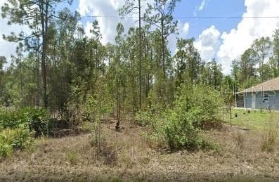1317 MCARTHUR AVENUE LEHIGH ACRES, FL 33972