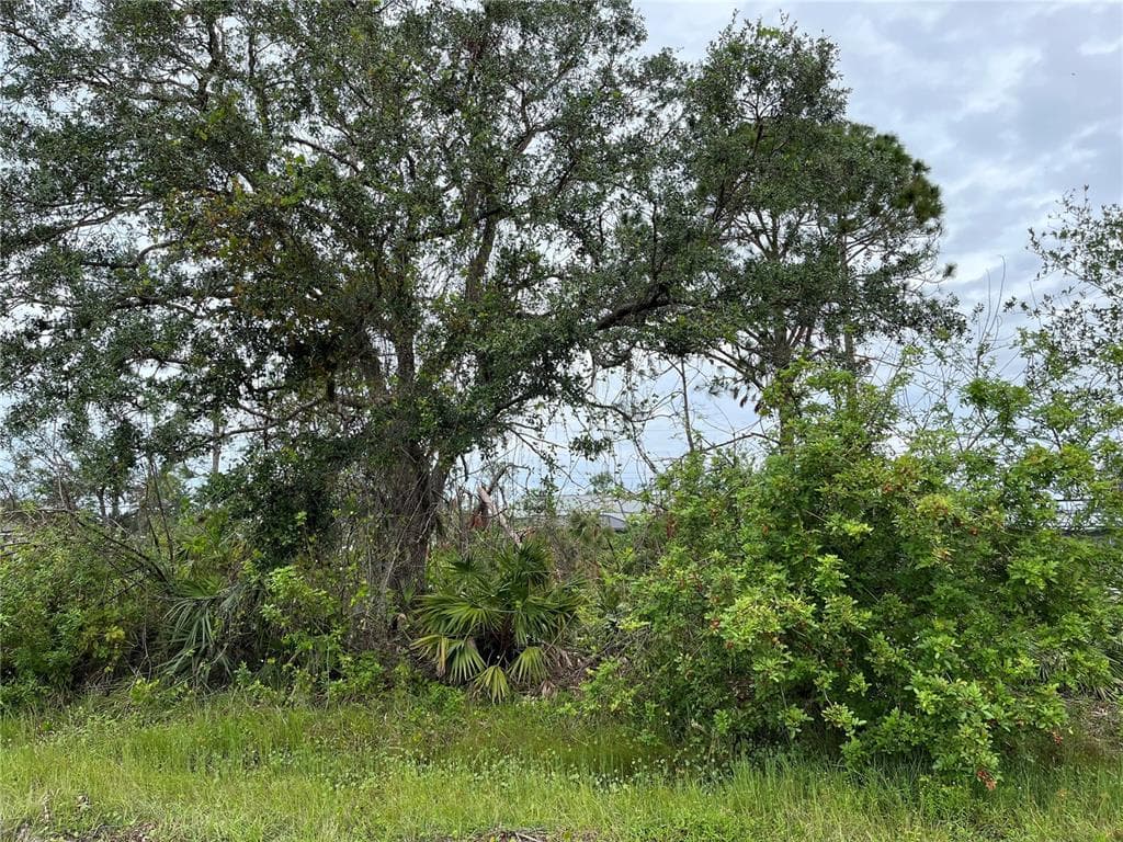 22508 BRADFORD AVENUE PORT CHARLOTTE, FL 33952