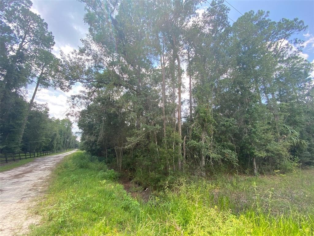 6711 NE 137TH PLACE CITRA, FL 32113