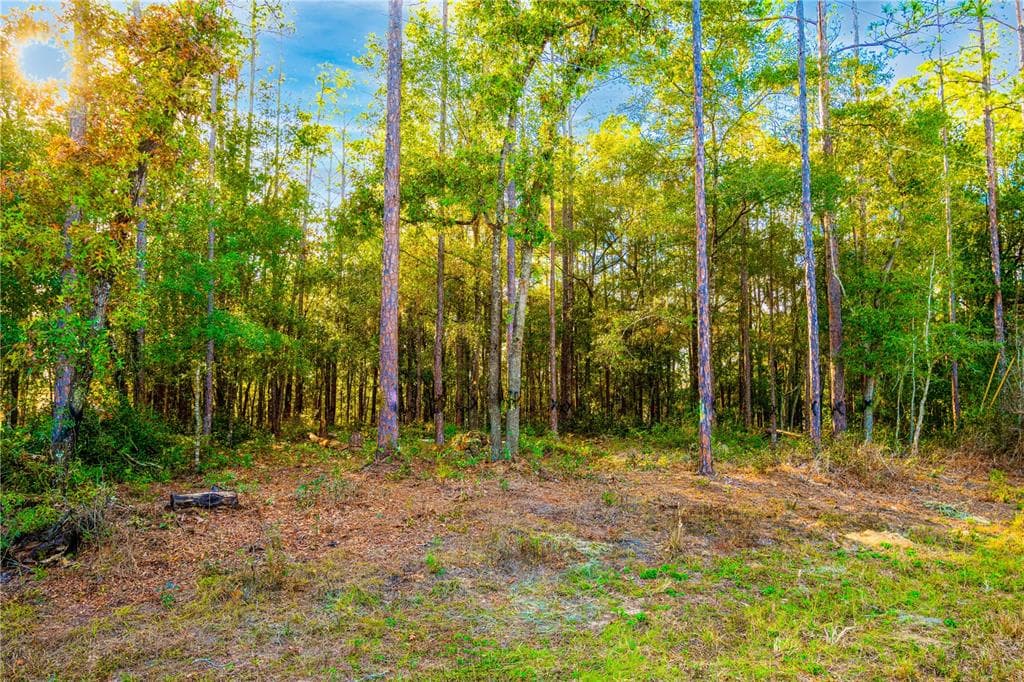 8516 N EMPIRE AVENUE CITRUS SPRINGS, FL 34433