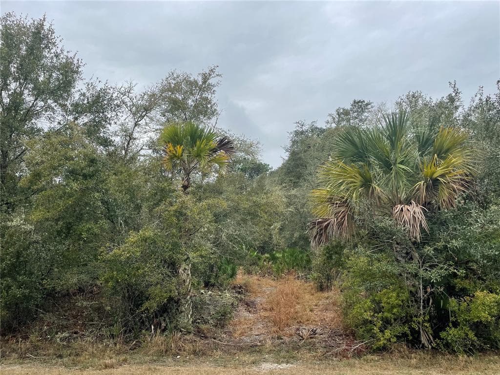9818 N CAMPION TERRACE CRYSTAL RIVER, FL 34428