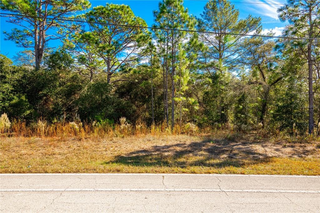 8811 N CITRUS SPRINGS BOULEVARD CITRUS SPRINGS, FL 34433