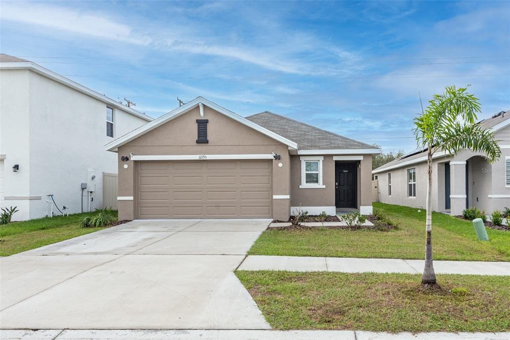 12193 DOWNY BIRCH DRIVE RIVERVIEW, FL 33569