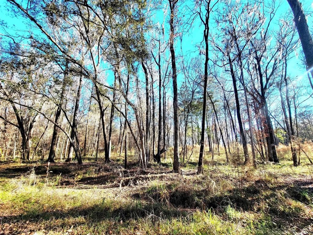 TBD NW 146 AVENUE WILLISTON, FL 32696