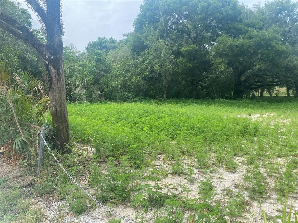 6512 E 25TH AVENUE TAMPA, FL 33619