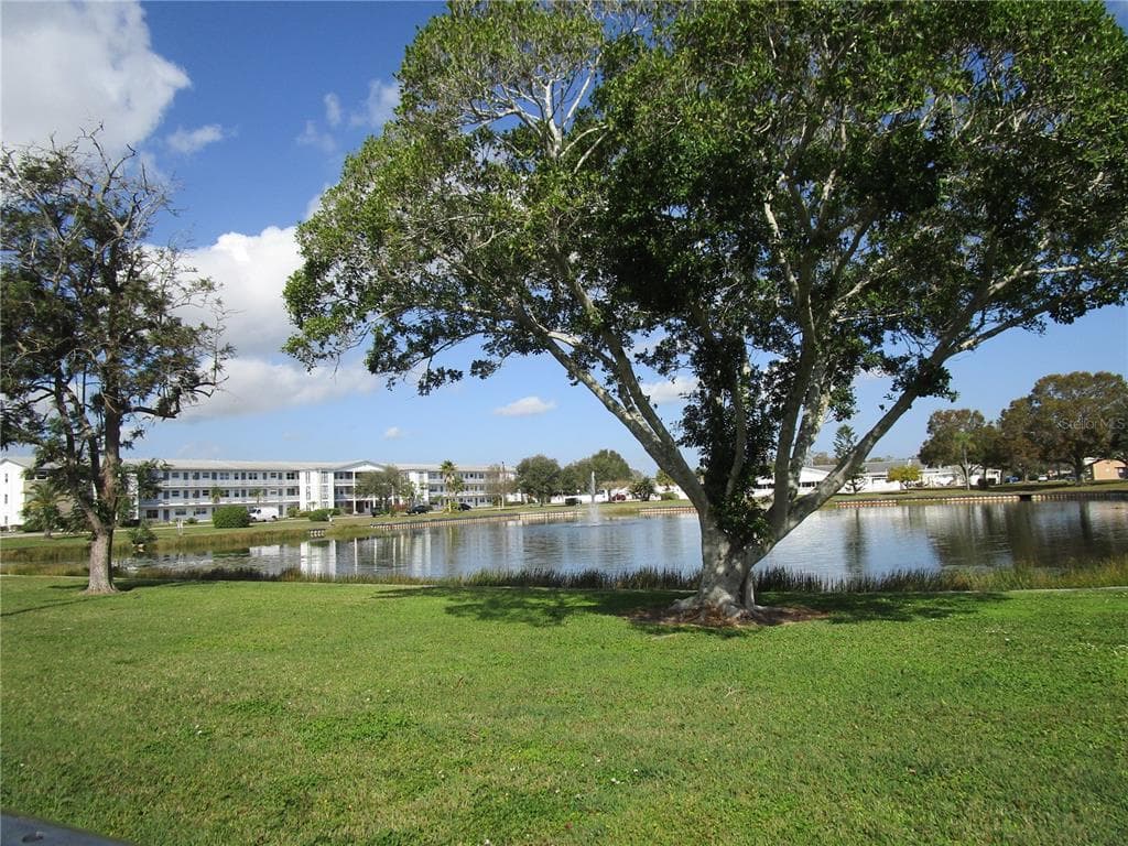 1900 59TH AVENUE N UNIT 115 ST PETERSBURG, FL 33714
