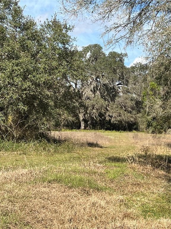 0 SE 44TH PLACE BUSHNELL, FL 33513