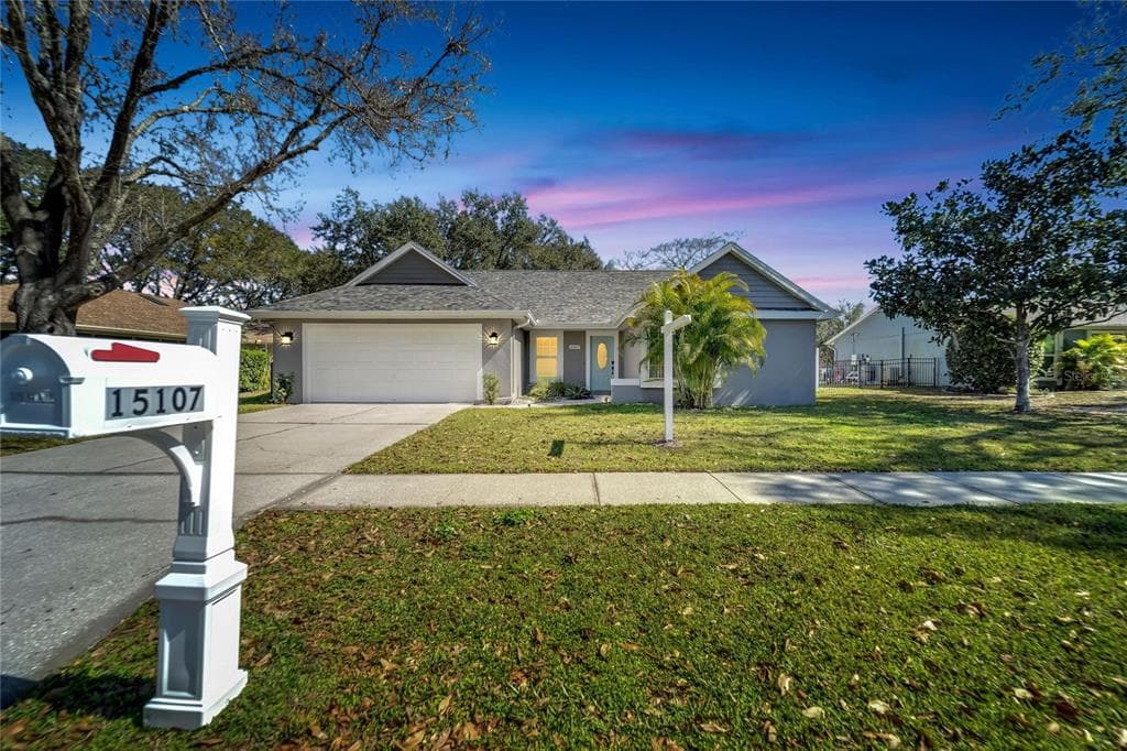 15107 LAKE HOLLY PLACE TAMPA, FL 33625