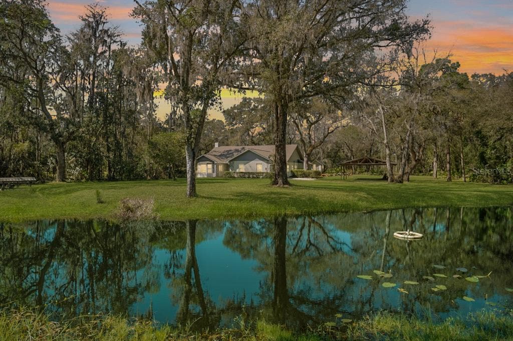12526 LEM SIMMONS STREET THONOTOSASSA, FL 33592