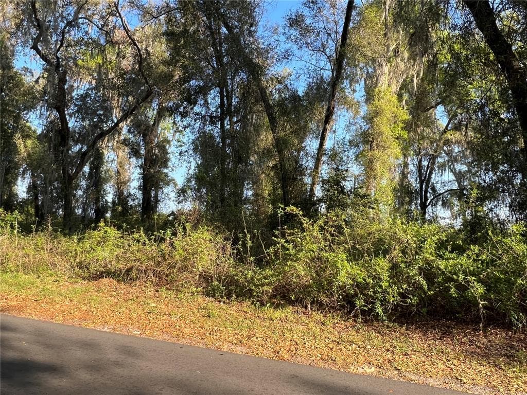 CR 622 BUSHNELL, FL 33513