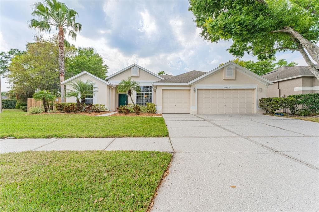 12802 BIG SUR DRIVE TAMPA, FL 33625