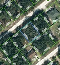 2071 W BONITA ROAD AVON PARK, FL 33825