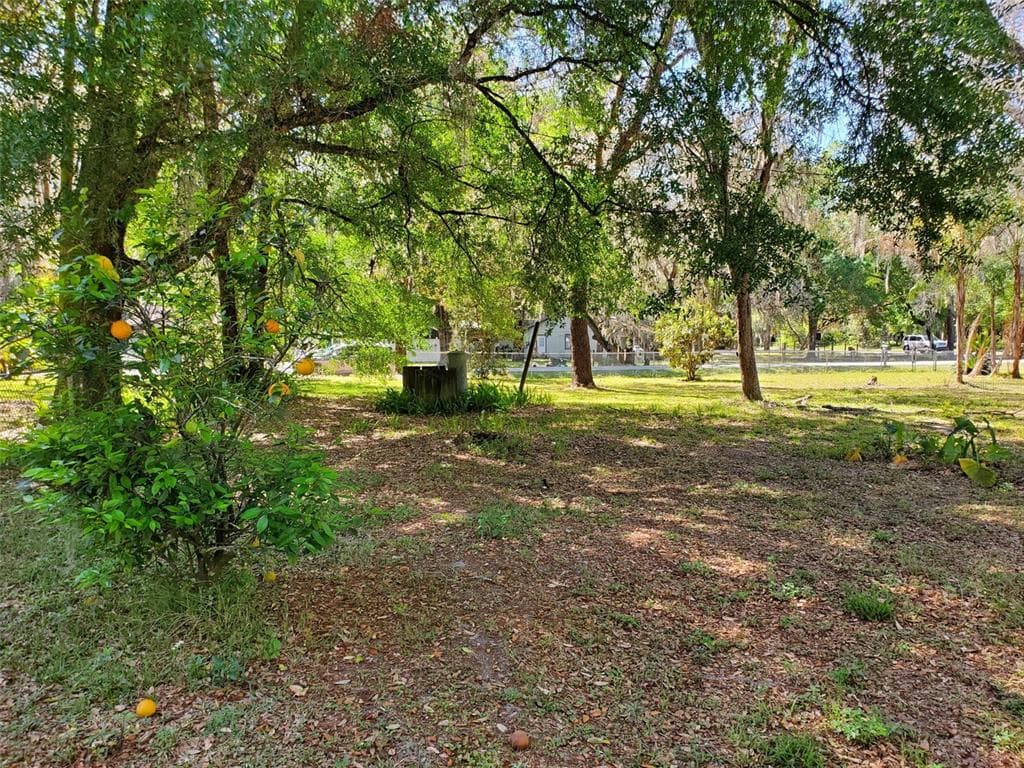 38009 PALM GROVE DRIVE ZEPHYRHILLS, FL 33542