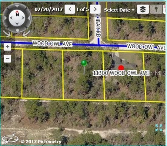 11290 WOOD OWL AVENUE WEEKI WACHEE, FL 34614