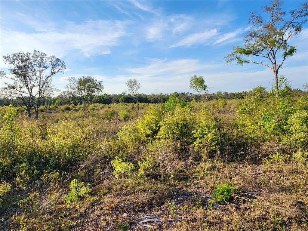 NE 106 TERRACE BRONSON, FL 32621