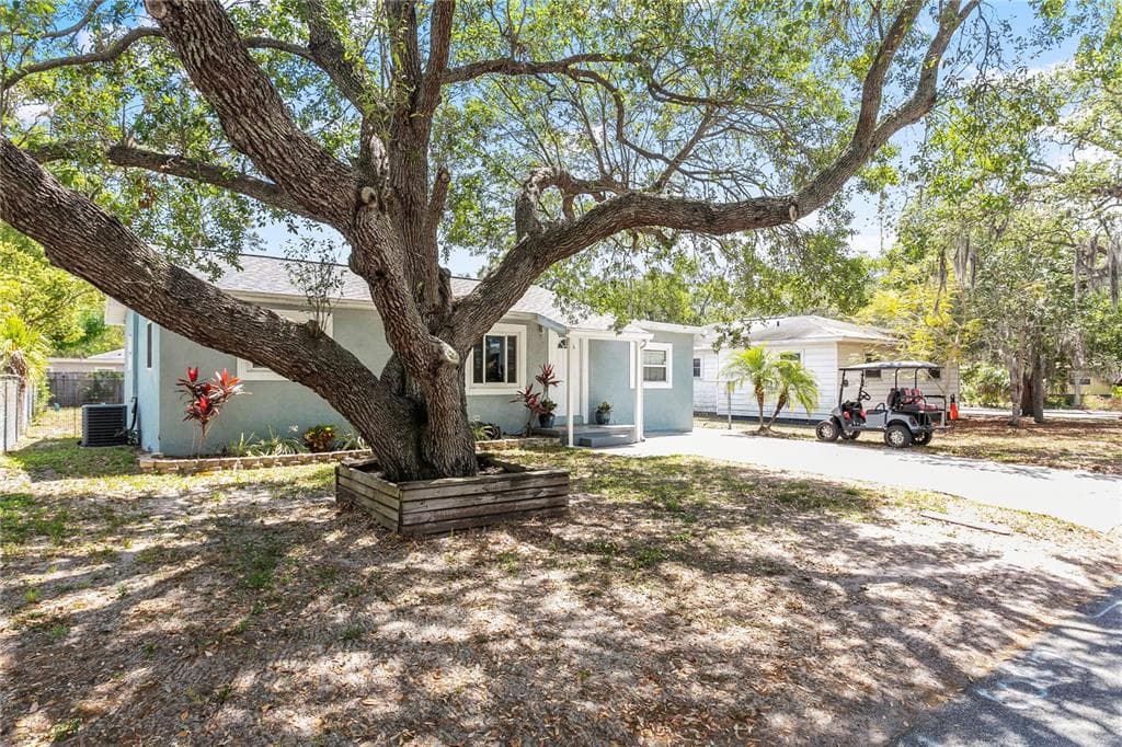 1511 DOUGLAS AVENUE DUNEDIN, FL 34698