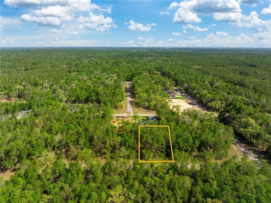 173 E SIMMS LANE CITRUS SPRINGS, FL 34434