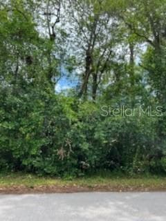 COUNTY ROAD 44 LEESBURG, FL 34788