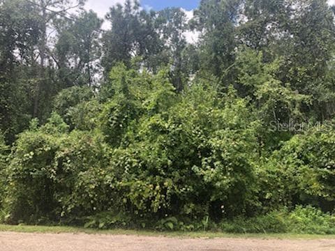 0000 TELFORD STREET NEW PORT RICHEY, FL 34654