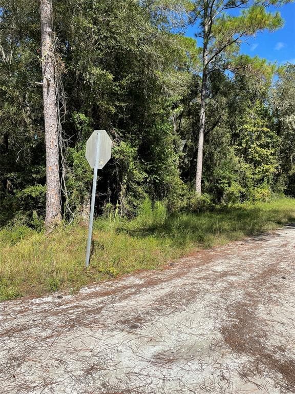 WILFORD WEBSTER, FL 33597