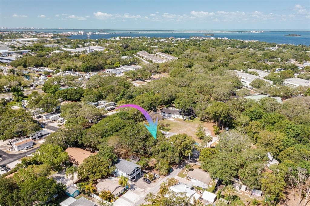 10 LIME STREET PALM HARBOR, FL 34683