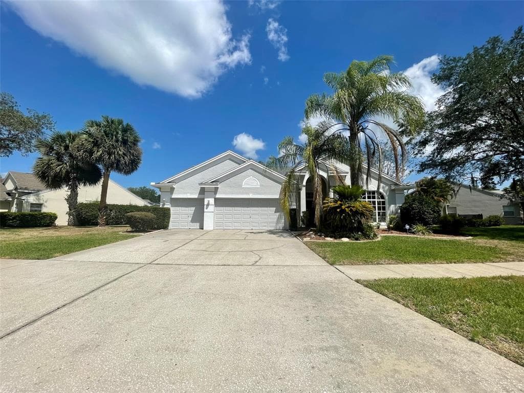 4351 ELLINWOOD BOULEVARD PALM HARBOR, FL 34685
