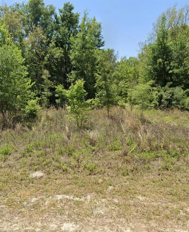 SW 114TH PLACE DUNNELLON, FL 34432