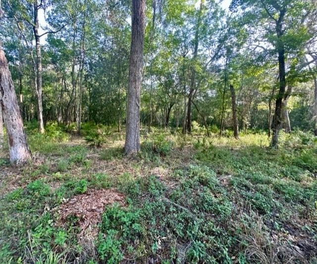 22375 CHENOAK ROAD BROOKSVILLE, FL 34602