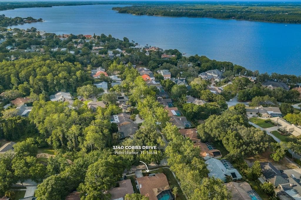 3340 COBBS DRIVE PALM HARBOR, FL 34684
