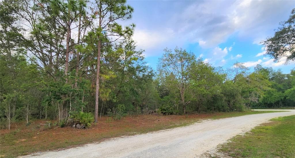 14019 REDSTART AVENUE WEEKI WACHEE, FL 34614
