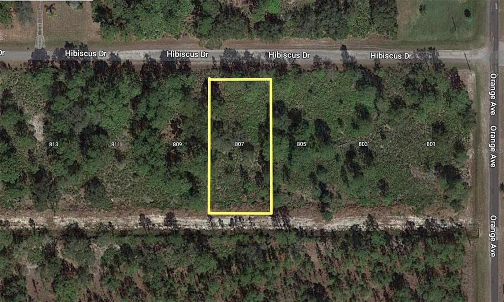 809 HIBISCUS DRIVE INDIAN LAKE ESTATES, FL 33855