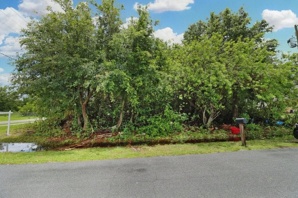 COBALT DRIVE KISSIMMEE, FL 34758