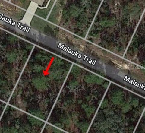 TBD MALAUKA TRAIL OCKLAWAHA, FL 32179