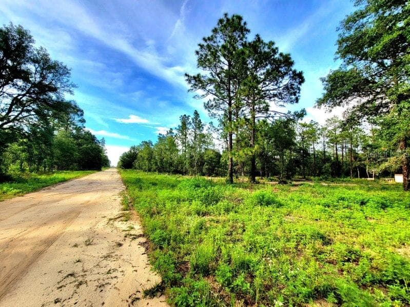 00 NE 124TH TERRACE WILLISTON, FL 32696