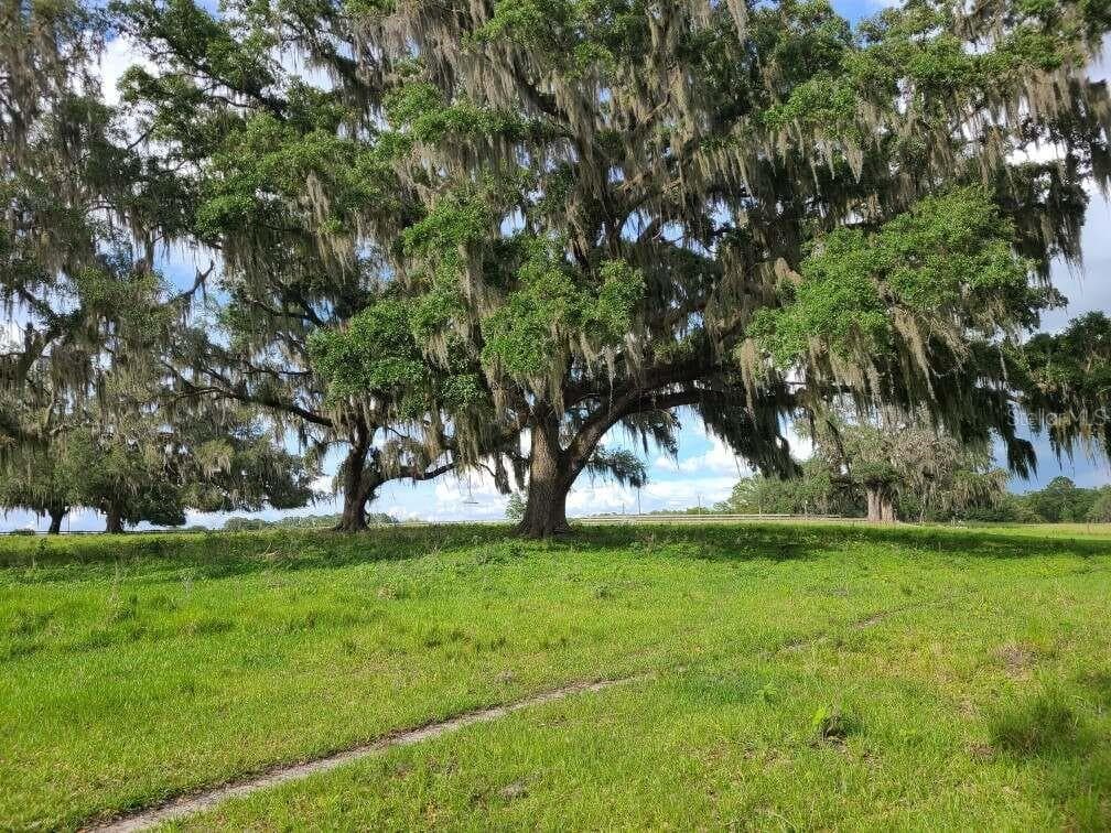 23080 MIZELL ROAD BROOKSVILLE, FL 34602