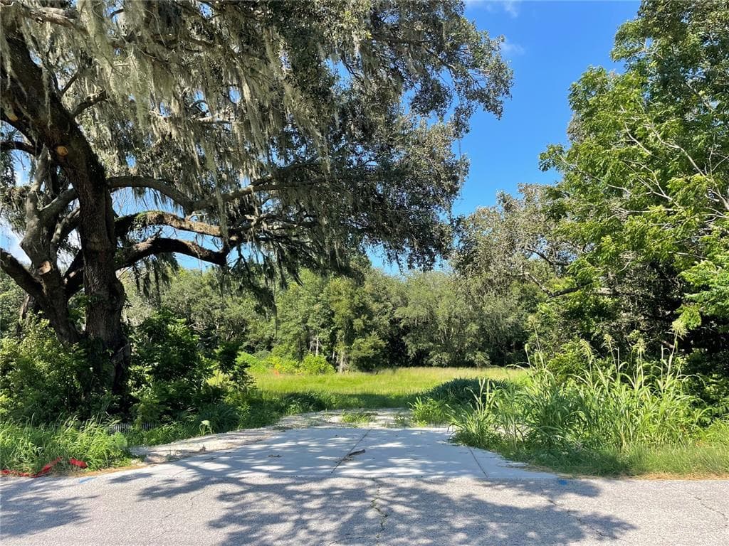 17356 SPRING VALLEY ROAD DADE CITY, FL 33523