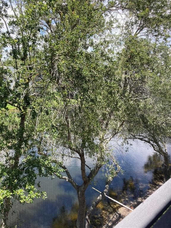 6080 80TH STREET N UNIT 410 ST PETERSBURG, FL 33709