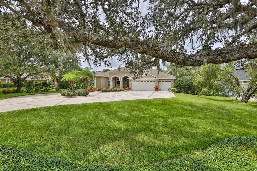 3548 ENTERPRISE ROAD E SAFETY HARBOR, FL 34695