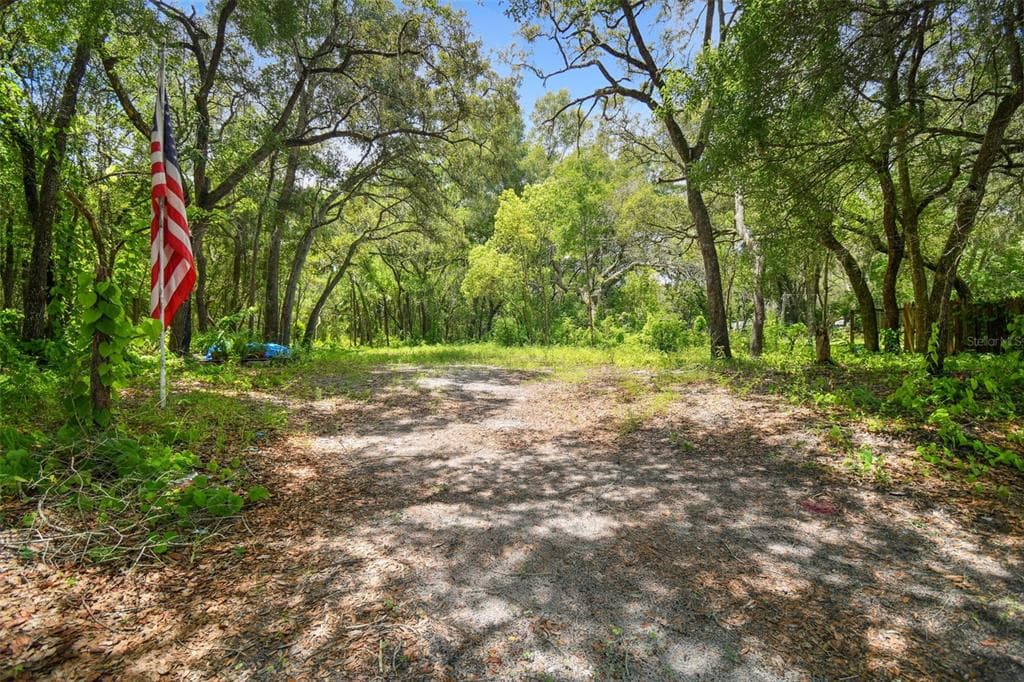 11766 PURDUE STREET NEW PORT RICHEY, FL 34654